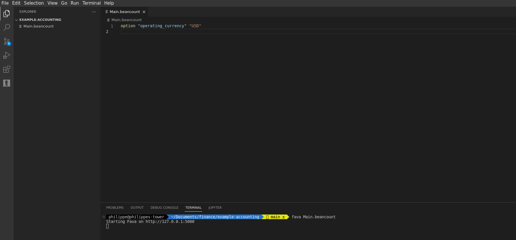 Fava started in VS Code terminal